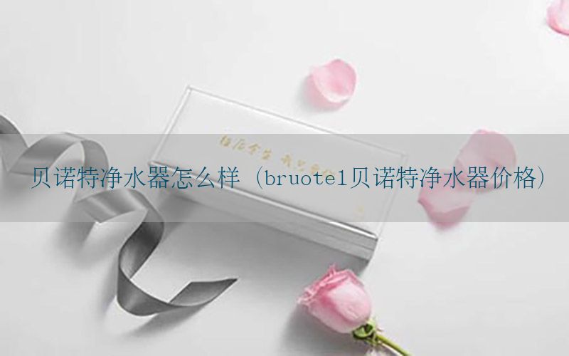 贝诺特净水器怎么样（bruotel贝诺特净水器价格）