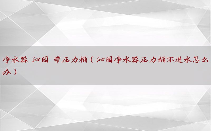 净水器 沁园 带压力桶（沁园净水器压力桶不进水怎么办）