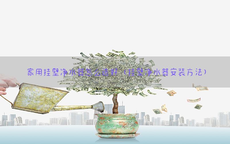 家用挂壁净水器怎么选好（挂壁净水器安装方法）