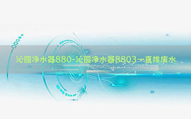 沁园净水器880-沁园净水器8803一直排废水