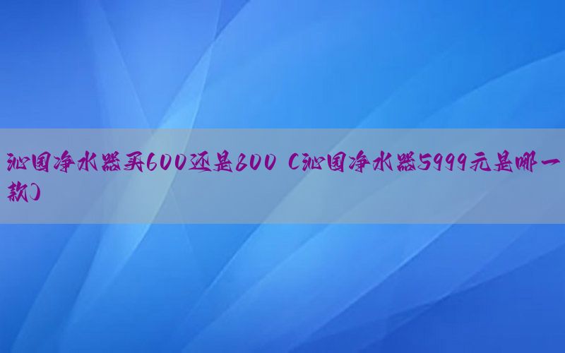 沁园净水器买600还是800（沁园净水器5999元是哪一款）