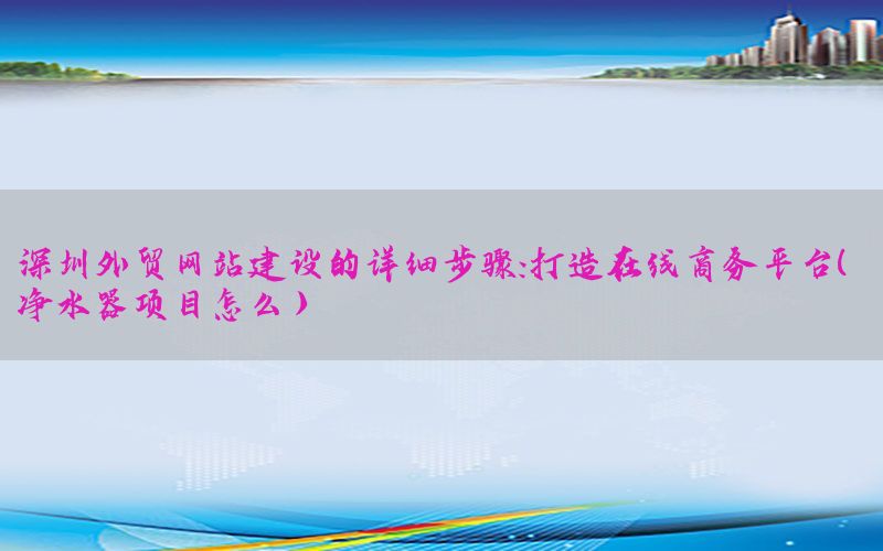 深圳外贸网站建设的详细步骤：打造在线商务平台（净水器项目怎么栿）