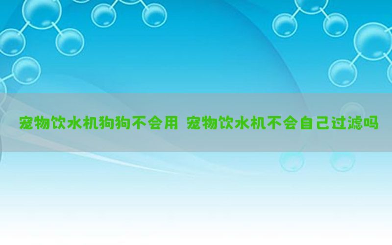 宠物饮水机狗狗不会用，宠物饮水机不会自己过滤吗