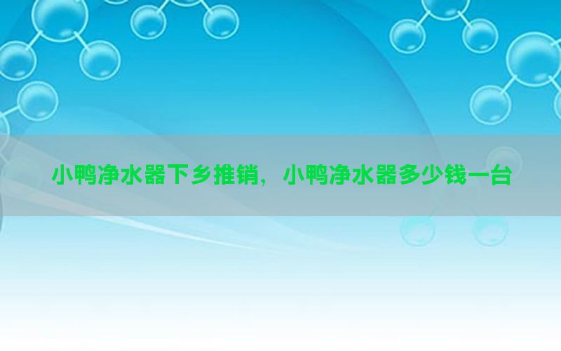 小鸭净水器下乡推销，小鸭净水器多少钱一台