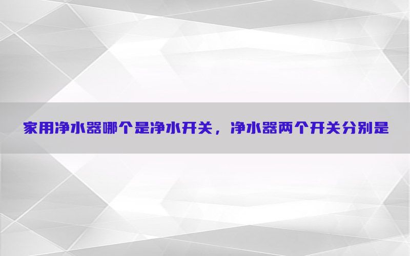 家用净水器哪个是净水开关，净水器两个开关分别是